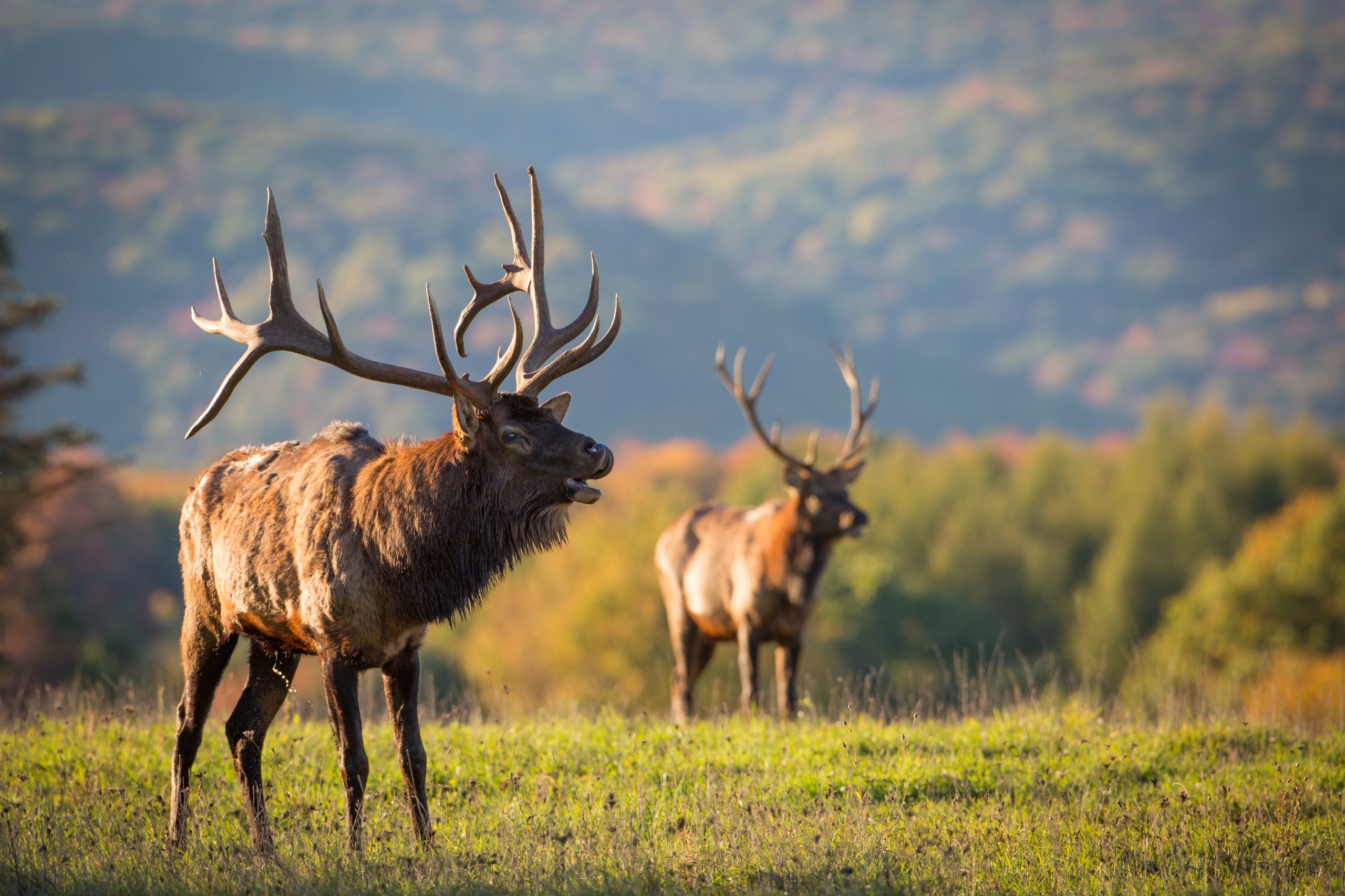 Vacation Rental Photo