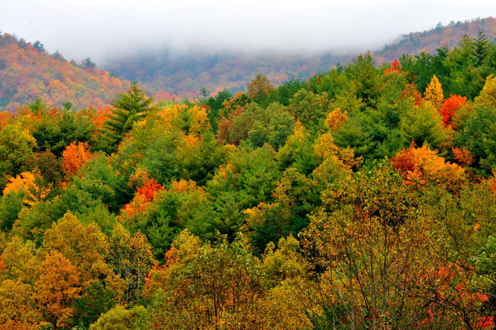 Vacation Rental Photo