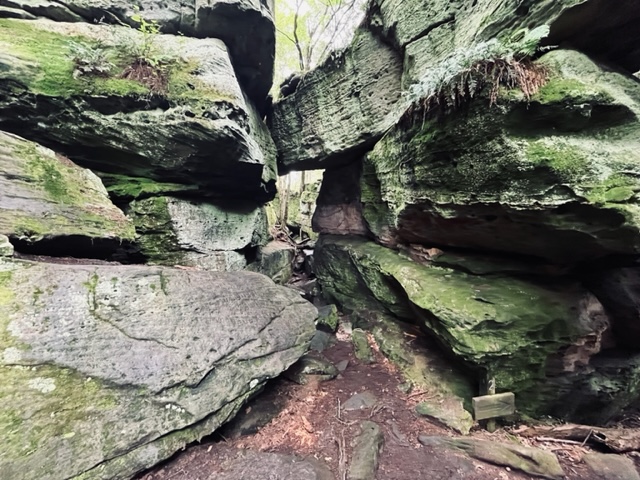 Vacation Rental Photo