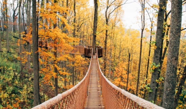 Vacation Rental Photo